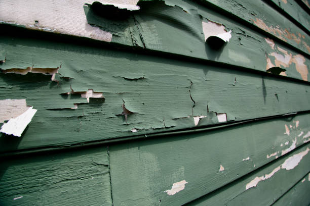 Best Storm Damage Siding Repair  in , TN